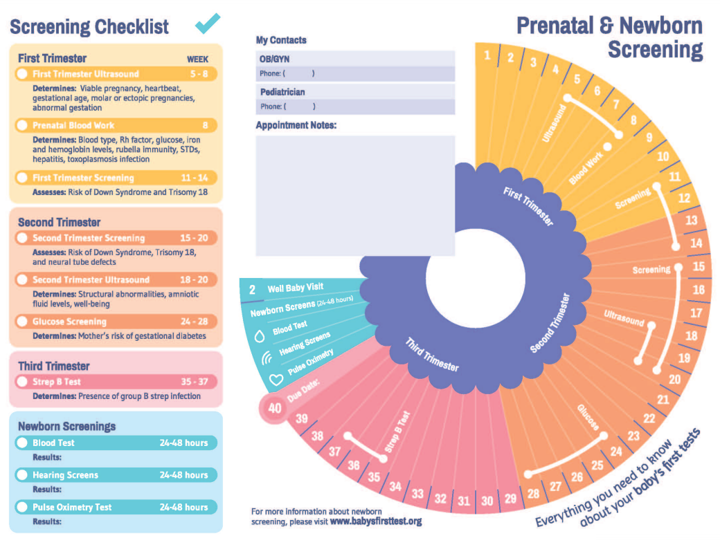 What to Expect Before Birth Baby's First Test Newborn Screening